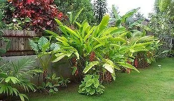 Resort Alumbung Cottages Panglao